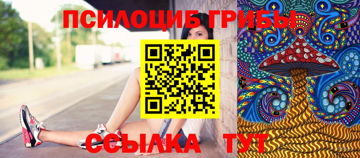 Псилоцибиновые грибы мицелий Югорск